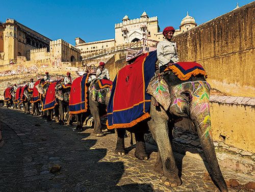 Elephant, Elephants and Mammoths, Indian elephant, Working animal, Interaction, Mahout, Tradition, Terrestrial animal, African elephant, Middle ages, 