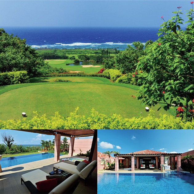 Nature, Plant, Natural landscape, Landscape, Garden, Swimming pool, Real estate, Outdoor furniture, Resort, Sunlounger, 