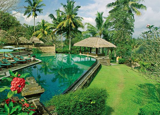 Plant, Landscape, Swimming pool, Resort, Garden, Arecales, Tropics, Resort town, Shade, Palm tree, 