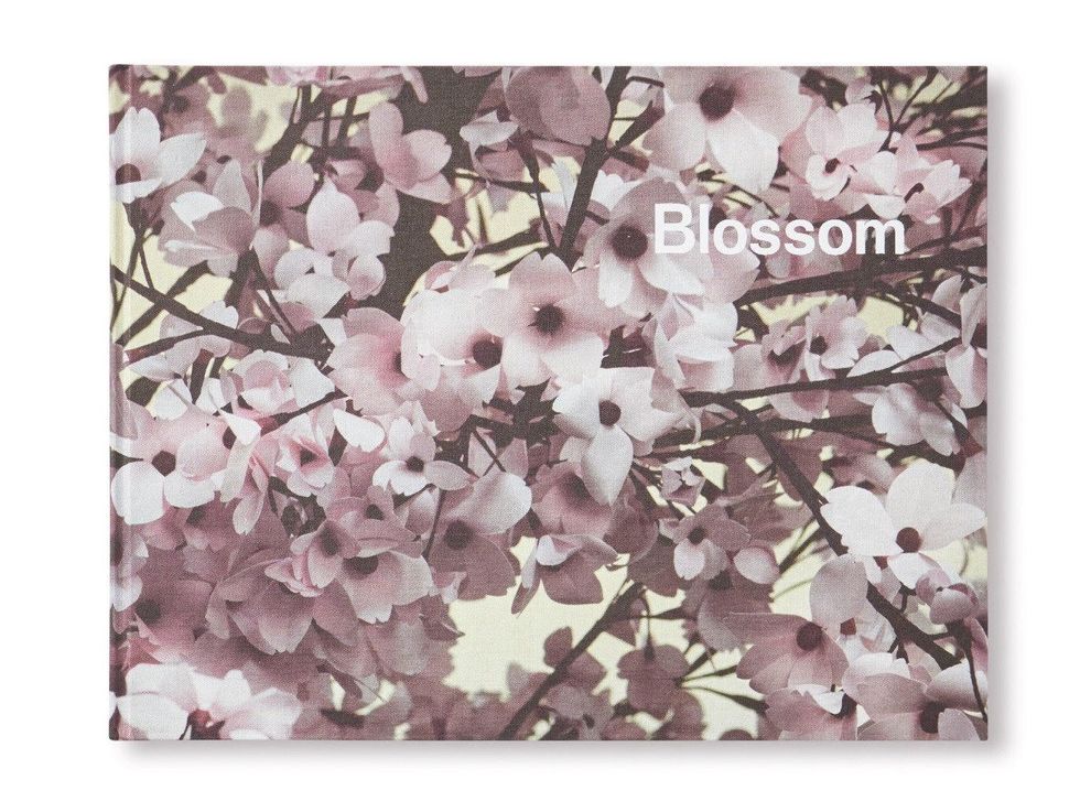 Flower, Blossom, Branch, Lilac, Cherry blossom, Plant, Pink, Petal, Purple, Spring, 