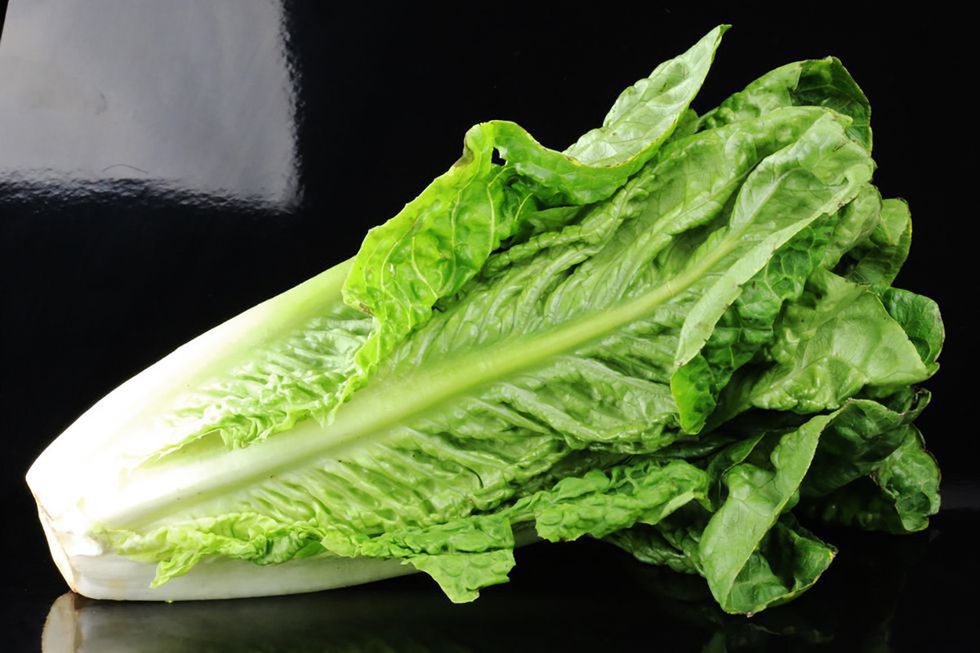 Leaf vegetable, Vegetable, Food, Lettuce, Romaine lettuce, Cabbage, Leaf, Spinach, Collard greens, Chard, 
