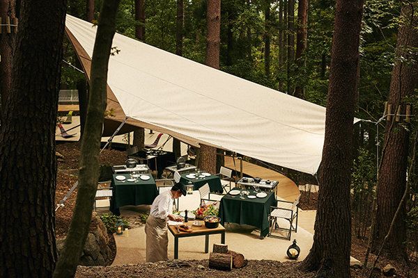 Tent, Shade, Tree, Canopy, Tints and shades, Table, Camp, Camping, State park, Recreation, 