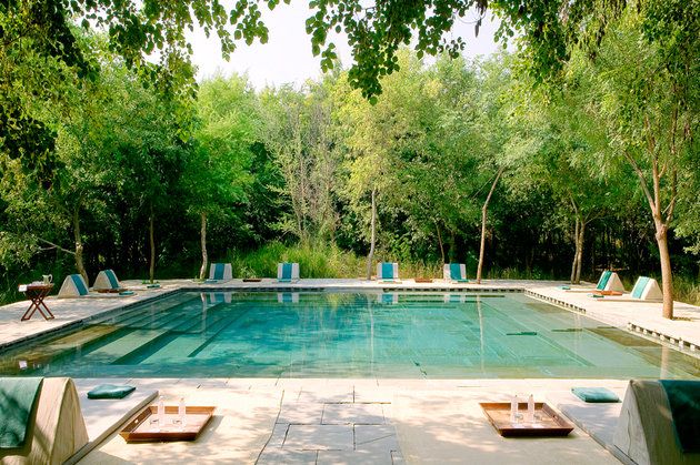 Swimming pool, Property, Water, Leisure, Tree, House, Real estate, Backyard, Building, Summer, 