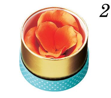Petal, Orange, Flowering plant, Peach, Serveware, Still life photography, Coquelicot, Tulip, Artificial flower, 