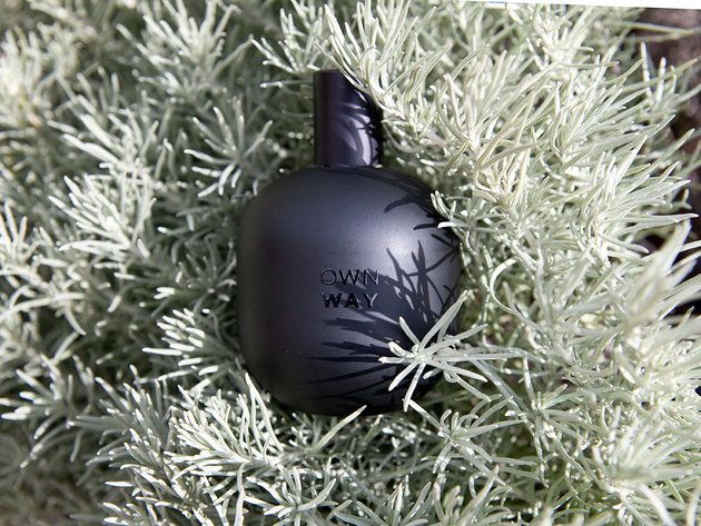 Christmas ornament, Grass, Christmas decoration, Tree, Ornament, Fir, Pine family, Plant, Conifer, Christmas tree, 