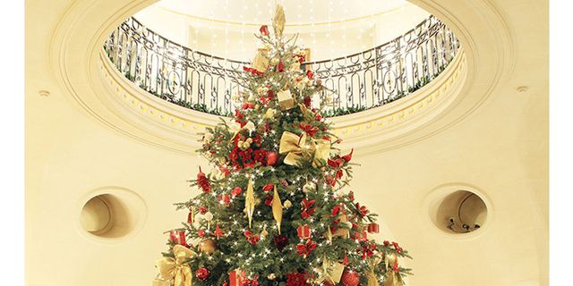Christmas tree, Christmas decoration, Tree, Christmas ornament, Christmas, Colorado spruce, oregon pine, Plant, Woody plant, Christmas eve, 