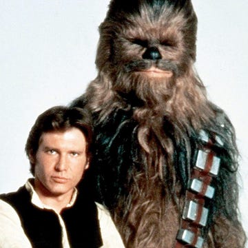 Chewbacca, Fictional character, Fur, 