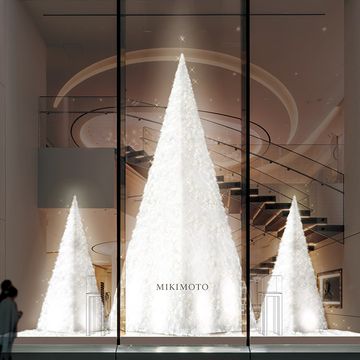 Tree, Architecture, Cone, Christmas tree, Glass, Interior design, Plant, Display window, Christmas decoration, 