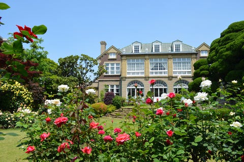 桜の次はバラが見頃 都内近郊 バラ園8選 ハーパーズ バザー Harper S Bazaar 公式