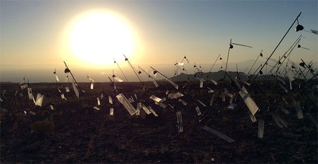 東京都庭園美術館で開催中の クリスチャン ボルタンスキー アニミタス さざめく亡霊たち 展のチケットを10名様に ハーパーズ バザー Harper S Bazaar 公式