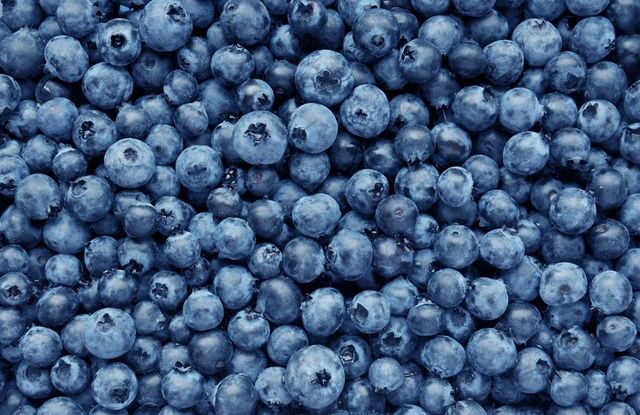 Berry, Bilberry, Fruit, Blue, Blueberry, Superfood, Natural foods, Food, Seedless fruit, Huckleberry, 