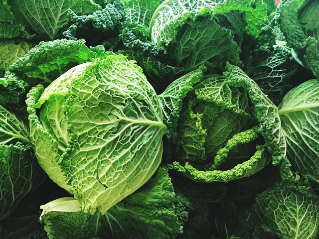 Savoy cabbage, Leaf, Plant, Vegetable, Leaf vegetable, Cabbage, Flower, Spring greens, Food, Brassica, 