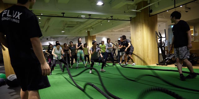 Fit 限界を超えるサーキットトレーニング を最新鋭のジムで体験 Fit 限界を超えるサーキットトレーニング を最新鋭のジムで体験