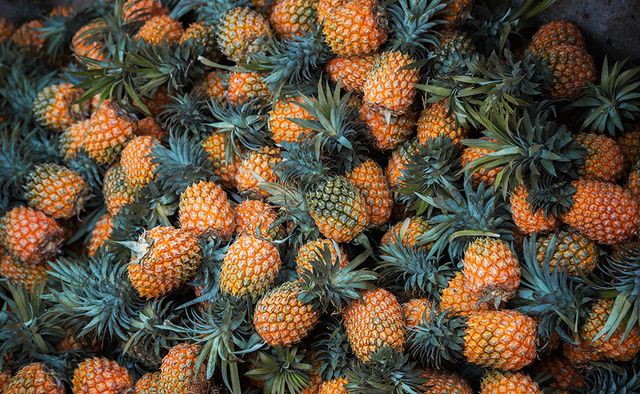 Pineapple, Plant, sitka spruce, Fruit, Ananas, Colorado spruce, Tree, Natural foods, Bromeliaceae, Pine family, 