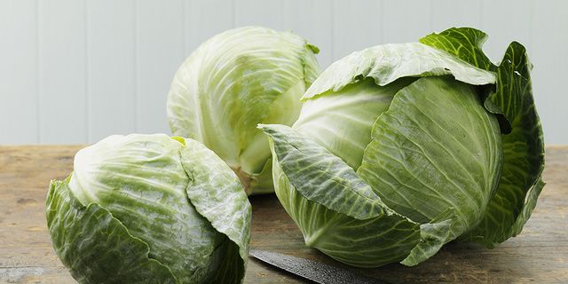 Cabbage, Vegetable, Food, Iceburg lettuce, Savoy cabbage, wild cabbage, Plant, Leaf vegetable, Cruciferous vegetables, Flower, 