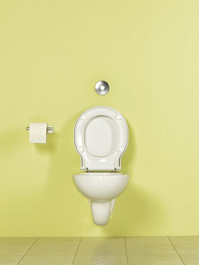 Toilet, Toilet seat, Plumbing fixture, Urinal, Wall, Bidet, Restroom, Room, Ceramic, Bathroom, 