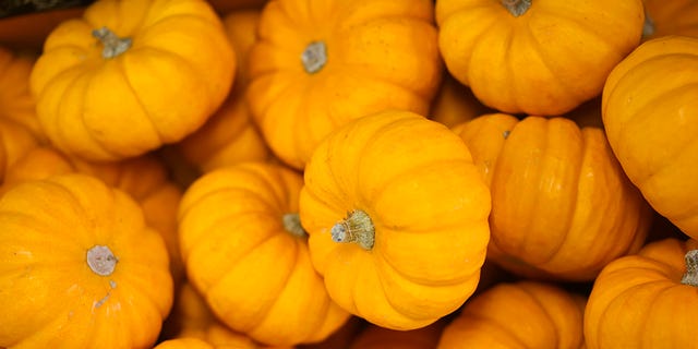 Winter squash, Natural foods, Pumpkin, Local food, Yellow, Vegetable, Food, Cucurbita, Calabaza, Plant, 