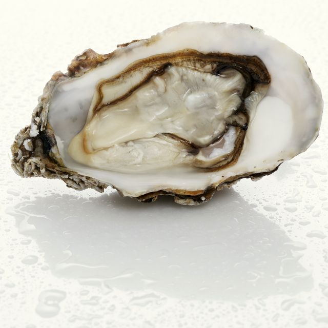 Bivalve, Oyster, Natural material, Seafood, Shell, Beige, Shellfish, Close-up, Molluscs, Macro photography, 