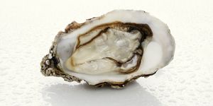 Bivalve, Oyster, Natural material, Seafood, Shell, Beige, Shellfish, Close-up, Molluscs, Macro photography, 