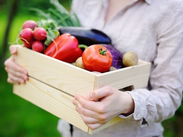 Natural foods, Hand, Fruit, Local food, Finger, Plant, Vegan nutrition, Apple, Vegetable, Food, 