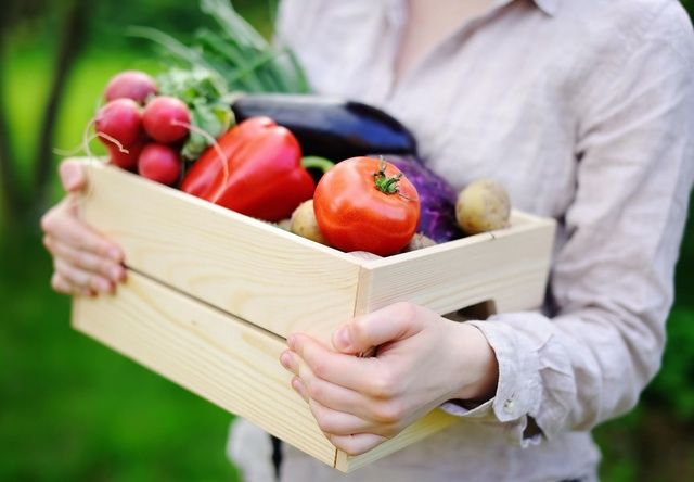 Natural foods, Hand, Fruit, Local food, Finger, Plant, Vegan nutrition, Apple, Vegetable, Food, 