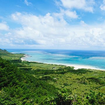 Body of water, Sky, Vegetation, Nature, Green, Sea, Coast, Blue, Ocean, Natural landscape, 