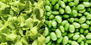 Food, Vegetable, Plant, Legume, Lima bean, Legume family, Broad bean, Pea, Produce, Ingredient, 