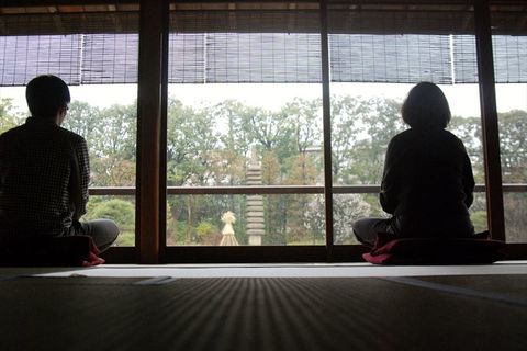 Sitting, Window, Meditation, Tree, Room, Architecture, 