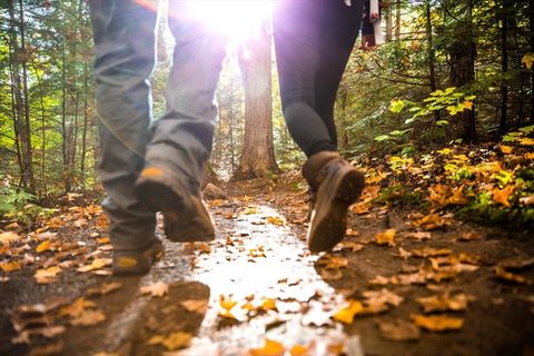 People in nature, Tree, Leaf, Footwear, Natural environment, Light, Forest, Trail, Sunlight, Wilderness, 