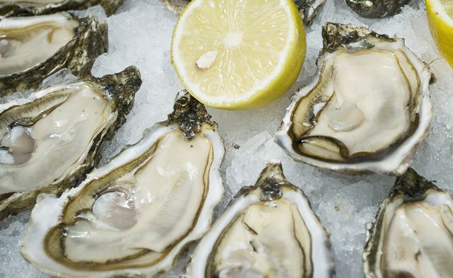Oyster, Oysters rockefeller, Seafood, Food, Bivalve, Dish, Invertebrate, Shellfish, Mussel, Molluscs, 