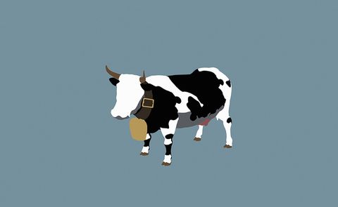 Bovine, Dairy cow, Cow-goat family, Livestock, Ox, Bull, 