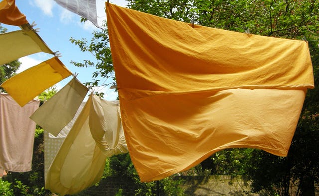 Yellow, Orange, Flag, Tree, Tints and shades, Sunlight, Plant, Shade, 