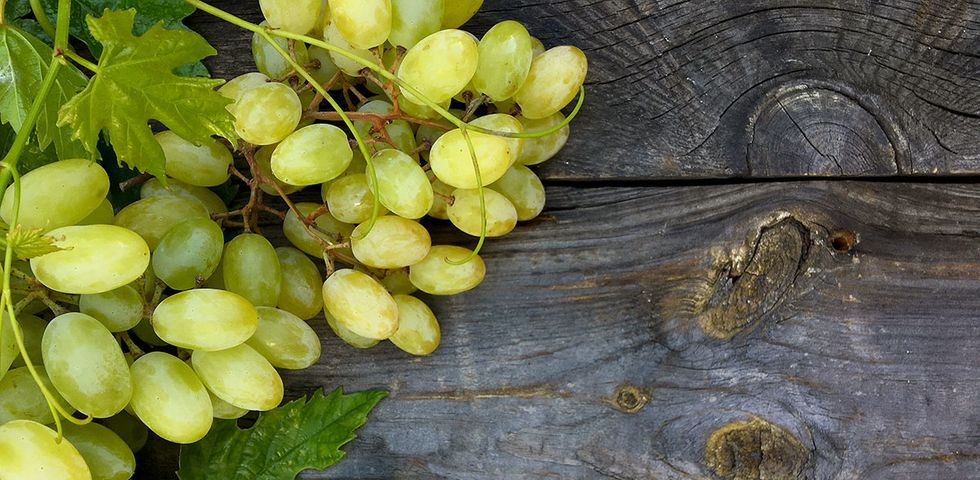 Grape, Grapevine family, Grape leaves, Plant, Leaf, Sultana, Vitis, Fruit, Seedless fruit, Wood, 