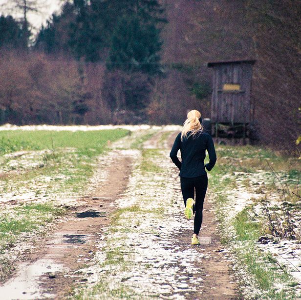 People in nature, Photograph, Walking, Tree, Grass, Dirt road, Winter, Trail, Road, Spring, 