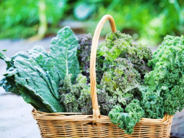 Leaf vegetable, Vegetable, Cruciferous vegetables, Broccoli, Food, Spring greens, Superfood, Plant, Kale, Lacinato kale, 