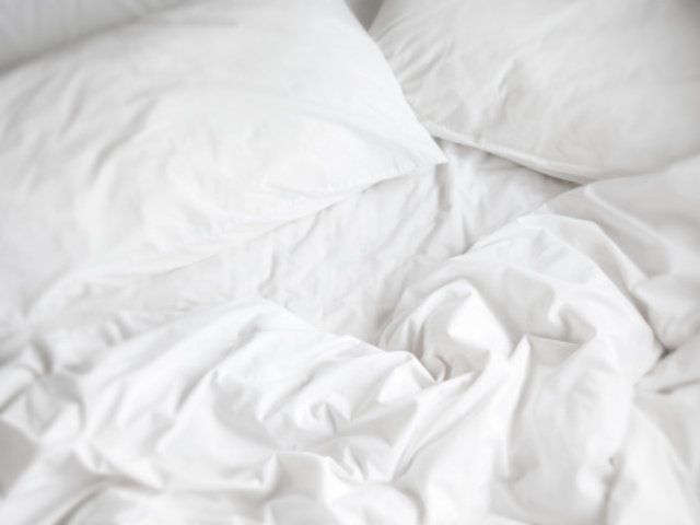 White, Bed sheet, Textile, Linens, Bedding, Duvet, Duvet cover, Furniture, Silk, Fur, 
