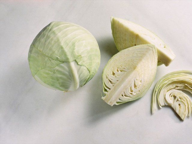Food, Cabbage, Plant, Vegetable, Produce, Leaf vegetable, Flower, Ingredient, 