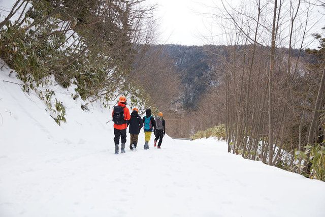Snow, Winter, Freezing, Trail, Adventure, Recreation, Footwear, Tree, Snowshoe, Fun, 