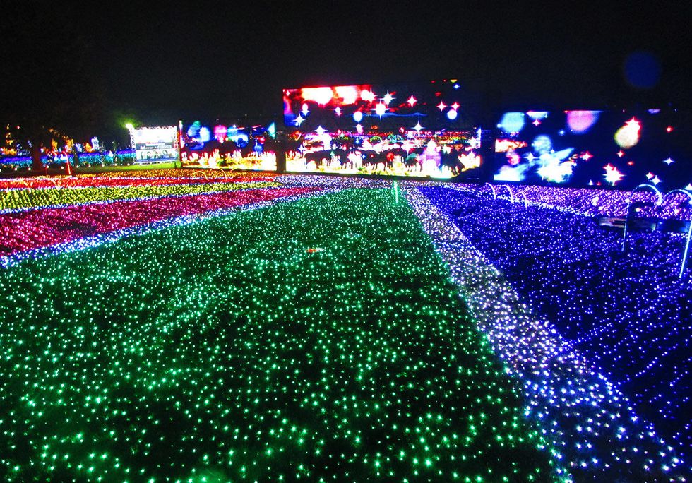 Green, Light, Visual effect lighting, Lighting, Sport venue, Stadium, Christmas lights, Technology, Night, Crowd, 