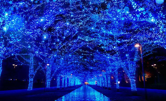 Blue, Water, Light, Electric blue, Cobalt blue, Majorelle blue, Lighting, Landmark, Tree, Sky, 