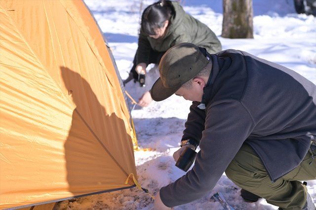 Tent, Winter, Tree, Snow, Camping, 