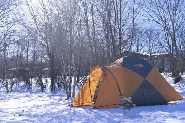 Tent, Winter, Camping, Snow, Tree, Leaf, Tarpaulin, Recreation, State park, 