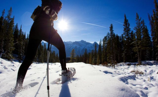 Snow, Winter, Sky, Recreation, Footwear, Cross-country skiing, Wilderness, Mountain, Tree, Skiing, 