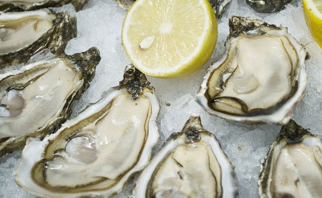 Oyster, Seafood, Oysters rockefeller, Food, Bivalve, Dish, Invertebrate, Mussel, Shellfish, Molluscs, 