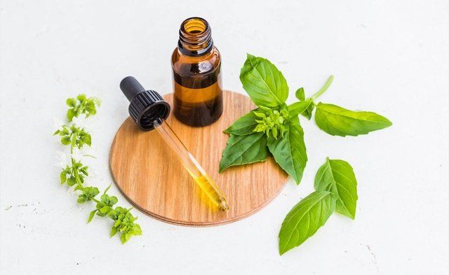 Basil, Herb, Plant, Herbal, Medicine, Food, 