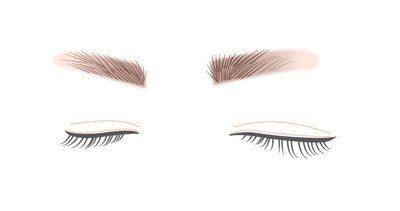 Eyebrow, Eye, Eyelash, Eyelash extensions, Cosmetics, Organ, Eye shadow, 