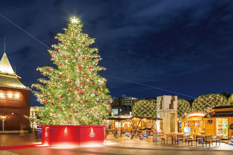 Christmas tree, Tree, Christmas decoration, Sky, Christmas, Landmark, Lighting, Christmas lights, Night, Architecture, 