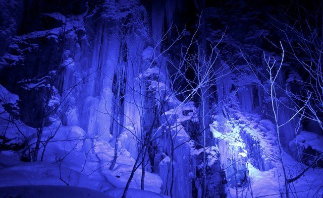 Blue, Freezing, Winter, Electric blue, Purple, Tree, Light, Ice, Formation, Water, 