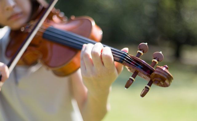 Fiddle, Violin, String instrument, String instrument, Viola, Violist, Violinist, Violin family, Musical instrument, Bowed string instrument, 