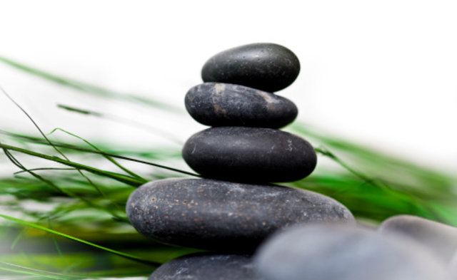 Pebble, Rock, Plant, Organism, Grass, Zen, 